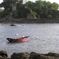 Foto de Santa Cruz - Oleiros