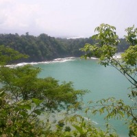 Foto de Parque Nacional de Manuel Antonio.