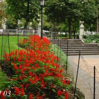 Foto de Oviedo