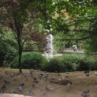 Foto de Oviedo