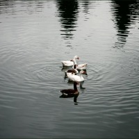 Foto de Aranjuez
