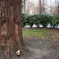 Foto de Oviedo