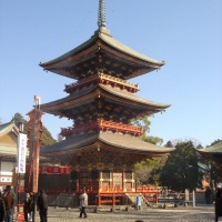 Foto de Narita (Tokio)