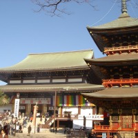 Foto de Narita (Tokio)