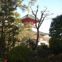Foto de Narita (Tokio)