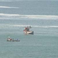 Foto de BARRANCA