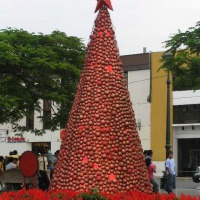 Foto de TRUJILLO