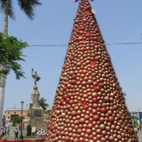 Foto de TRUJILLO