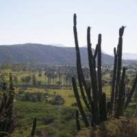 Foto de Azua
