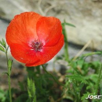 Foto de Zahara de la Sierra