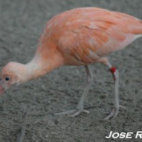 Foto de Jerez de la Frontera