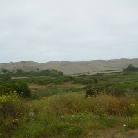 Foto de CONCON
