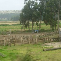 Foto de CONCON