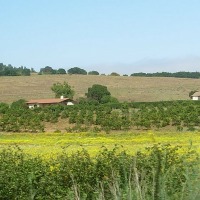 Foto de PUCHUNCAVI