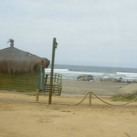 Foto de MAITENCILLO