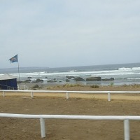 Foto de MAITENCILLO