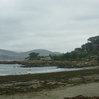 Foto de MAITENCILLO