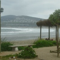 Foto de MAITENCILLO