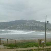 Foto de MAITENCILLO