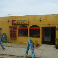 Foto de MAITENCILLO