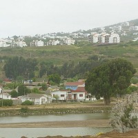 Foto de MAITENCILLO