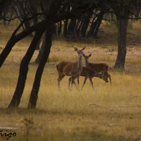 Foto de Palencia