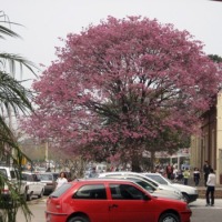 Foto de Resistencia - Chaco