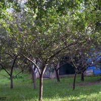 Foto de Oviedo