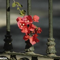 Foto de Cádiz