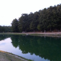 Foto de Bagno di Romagna