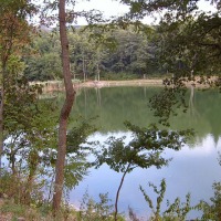 Foto de Bagno di Romagna