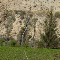 Foto de Cochiguaz
