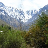 Foto de Cochiguaz