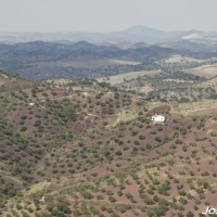 Foto de El Gastor