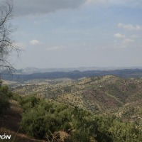 Foto de El Gastor