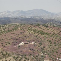 Foto de El Gastor