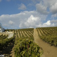 Foto de Jerez de la Frontera