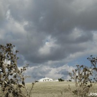 Foto de Jerez de la Frontera