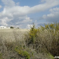 Foto de Jerez de la Frontera