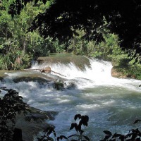 Foto de Agua Azul