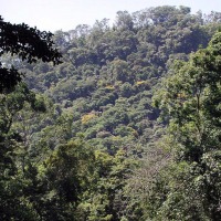 Foto de Agua Azul - Chiapas