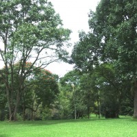 Foto de Xalapa - Veracruz