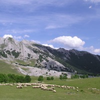 Foto de Urbia