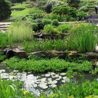Foto de Wisley - Surrey