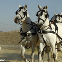 Foto de Trebujena