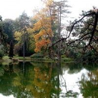 Foto de Courson-Monteloup