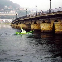 Foto de Viveiro