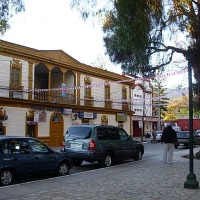 Foto de Vicuña