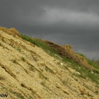 Foto de Trebujena