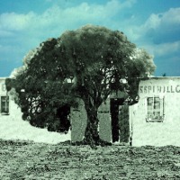 Foto de Tartagal - Salta